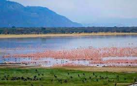 MANYARA